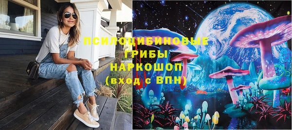 дживик Дмитриев