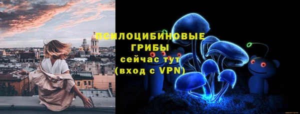 дживик Дмитриев