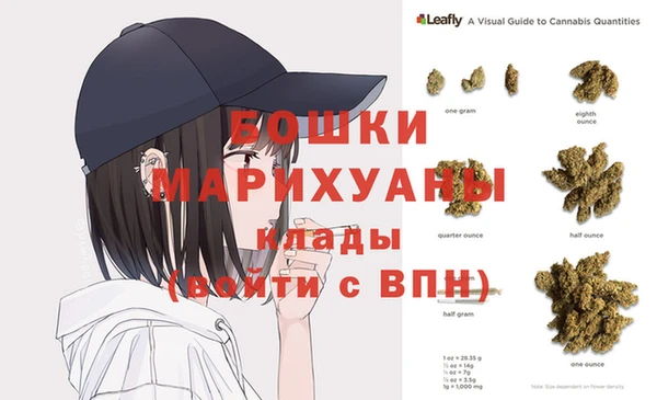 ГАЛЛЮЦИНОГЕННЫЕ ГРИБЫ Дмитровск