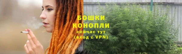 ГАЛЛЮЦИНОГЕННЫЕ ГРИБЫ Дмитровск