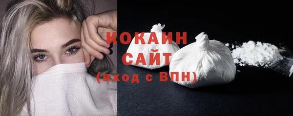дживик Дмитриев