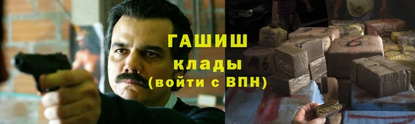 скорость Гусев