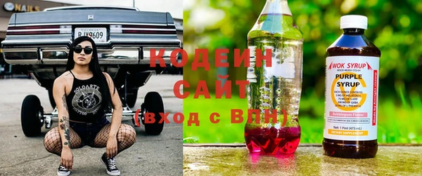 скорость Гусев
