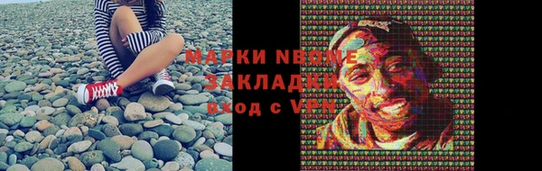 крисы Ельня