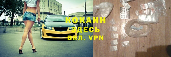дживик Дмитриев