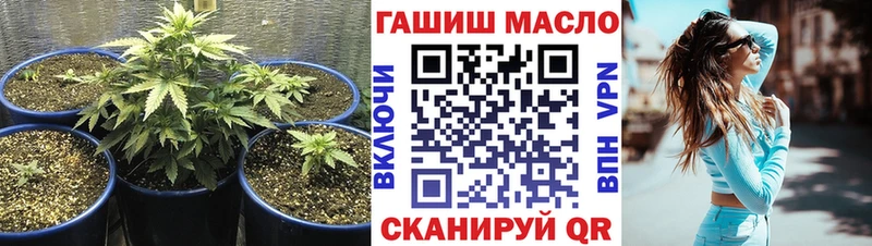ТГК THC oil Ленинск-Кузнецкий